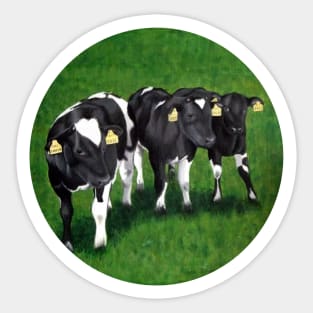 Three Calves Sticker